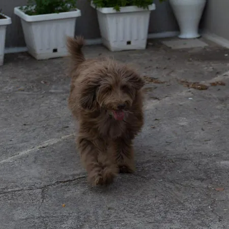 Marisole * Torre Canne