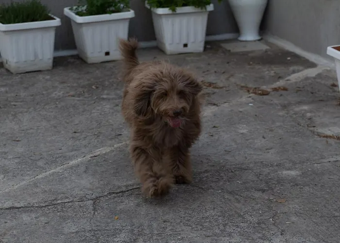 Marisole * טורה קאנה